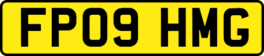 FP09HMG