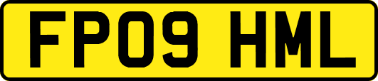 FP09HML