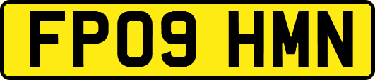 FP09HMN