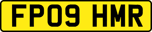 FP09HMR