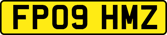 FP09HMZ
