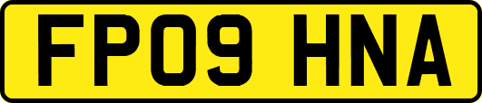 FP09HNA