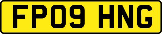 FP09HNG