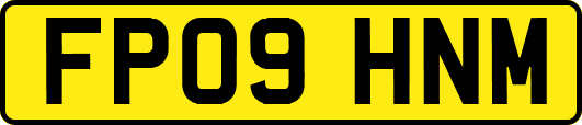 FP09HNM