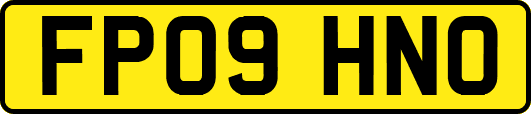 FP09HNO