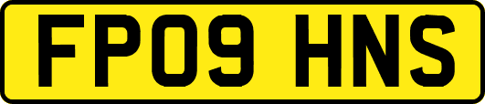 FP09HNS