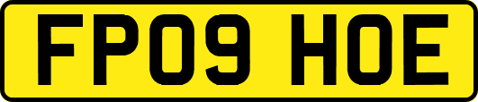 FP09HOE