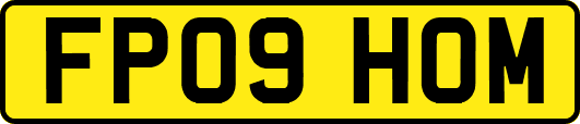 FP09HOM