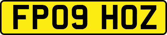 FP09HOZ
