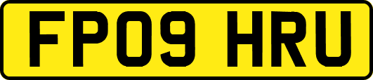 FP09HRU