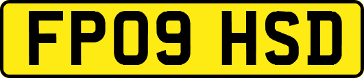 FP09HSD