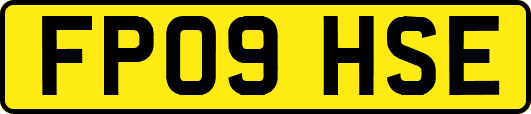 FP09HSE