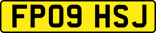 FP09HSJ