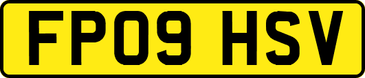 FP09HSV