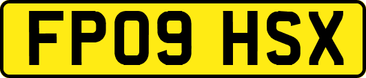 FP09HSX