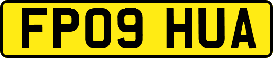 FP09HUA