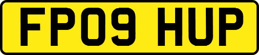 FP09HUP