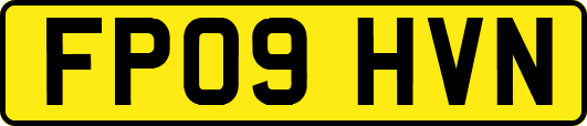 FP09HVN