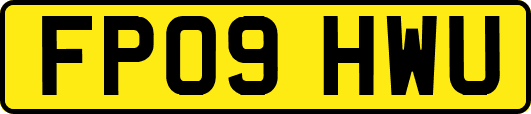 FP09HWU