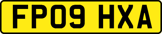 FP09HXA