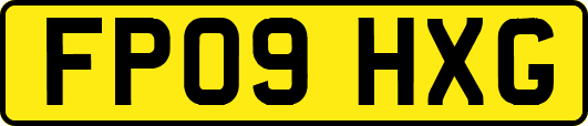 FP09HXG