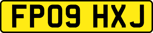 FP09HXJ