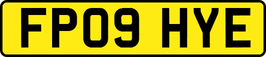 FP09HYE