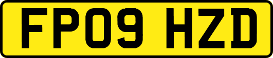 FP09HZD