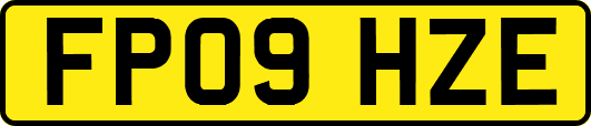 FP09HZE