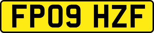 FP09HZF