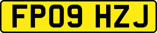 FP09HZJ