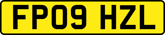 FP09HZL