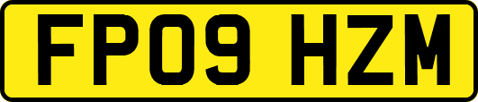 FP09HZM