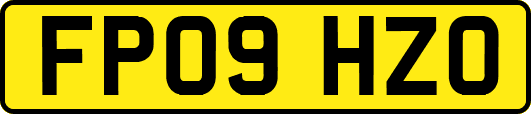 FP09HZO