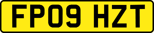 FP09HZT