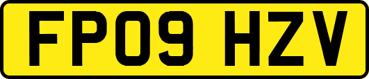 FP09HZV