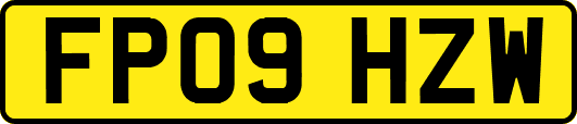 FP09HZW