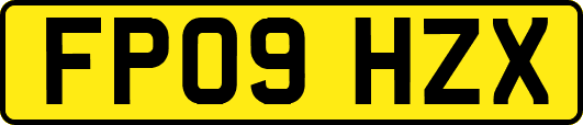 FP09HZX