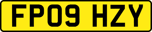 FP09HZY
