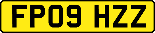 FP09HZZ