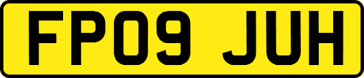 FP09JUH