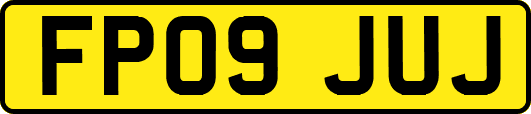 FP09JUJ