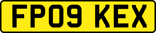 FP09KEX