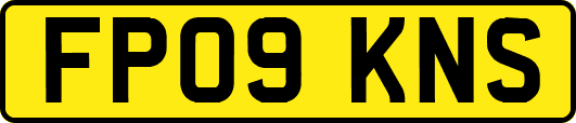 FP09KNS