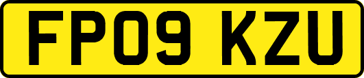 FP09KZU