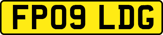 FP09LDG