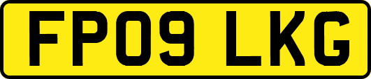 FP09LKG