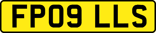 FP09LLS