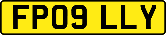 FP09LLY