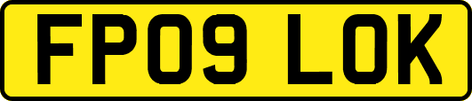 FP09LOK